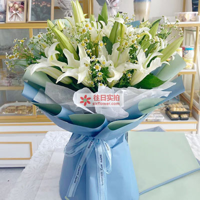 内江8支白色多头百合洋甘菊，互倾的思念